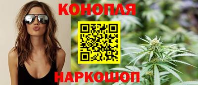 индика Новозыбков